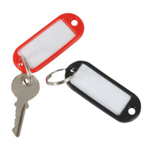 Llavero Porta-Etiqueta Surtido Bolsa 100 (UD)